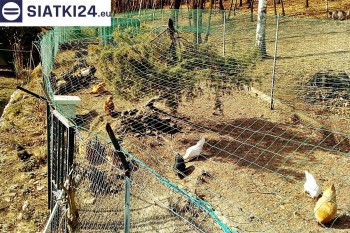 Siatki Rydułtowy - Siatka na woliery - zabezpieczenia ptaków w hodowli dla terenów Rydułtowy